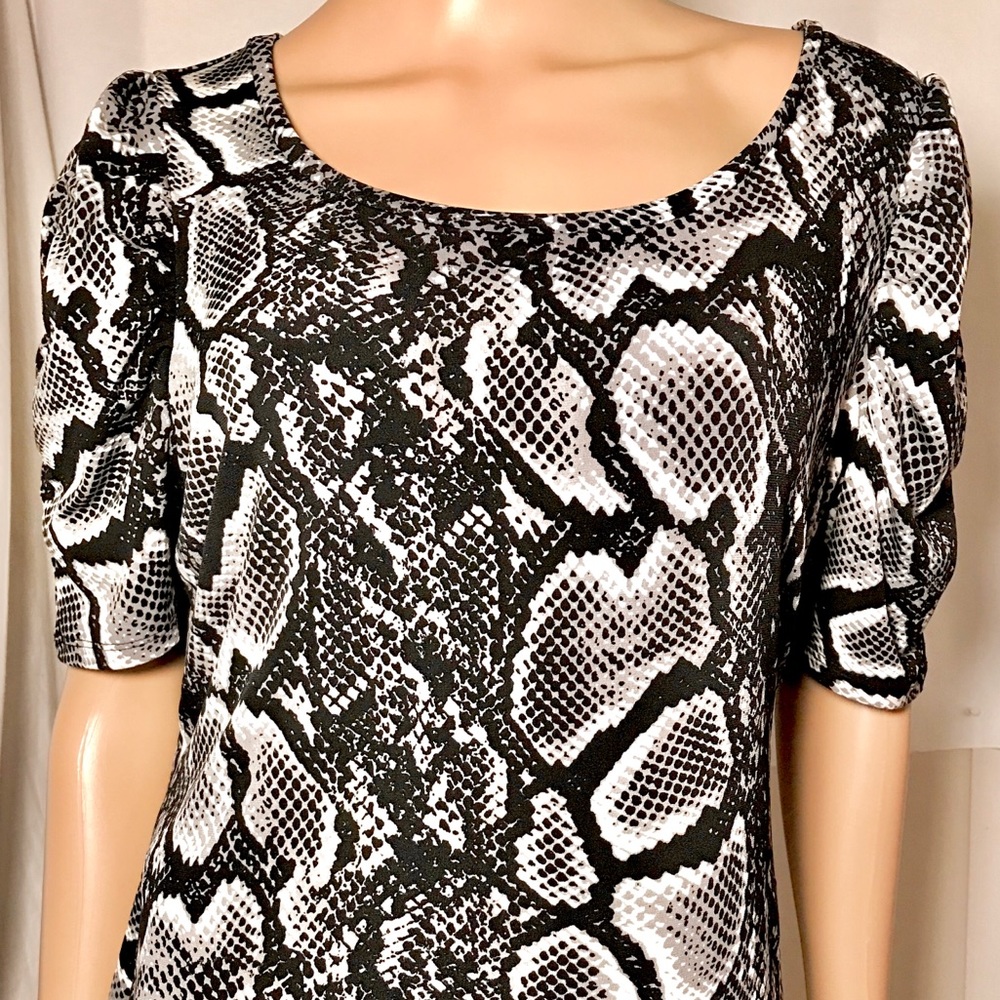 🔥BOGO🔥Worthington Black and White Python Pattern - Picture 2 of 5